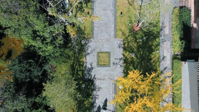 云南大理巍山古城明清建筑俯拍