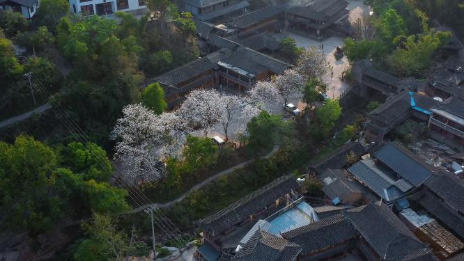 云南宁洱那柯里古镇远景
