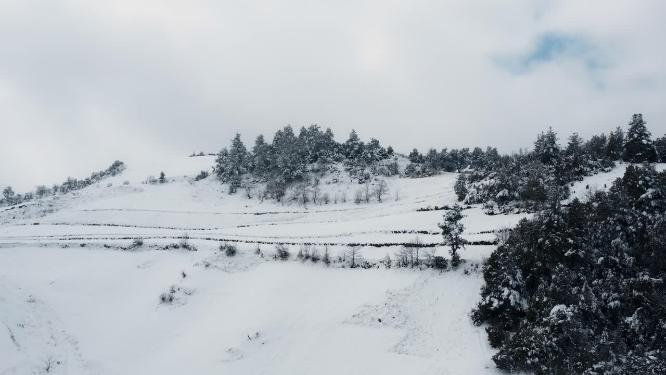 冬季白雾白雪皑皑田野山川森林