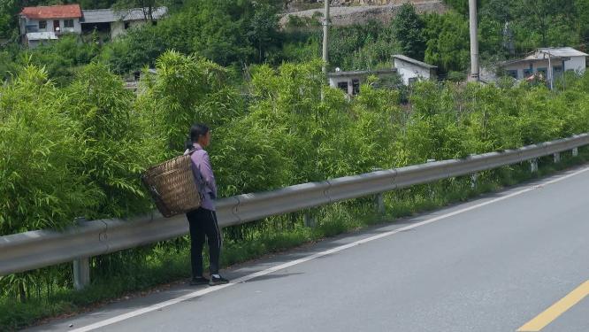 交通安全视频过公路农村妇女