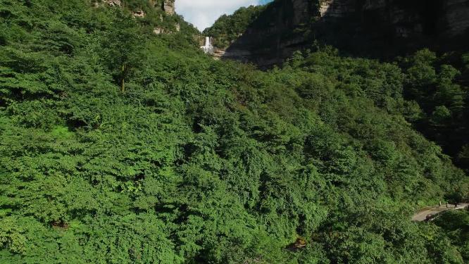绿水青山视频云南昭通植被丰茂原始森林瀑布