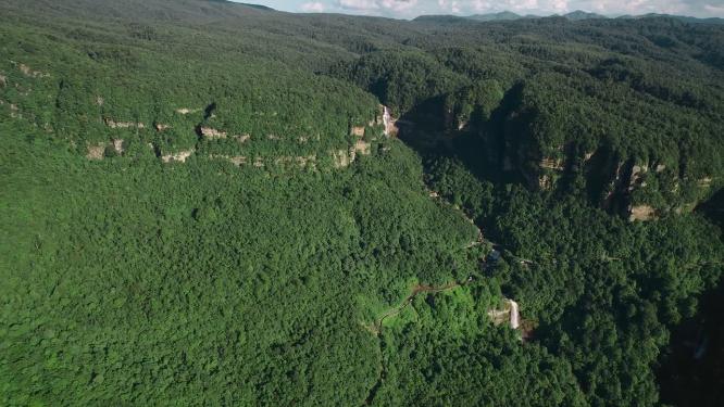 绿水青山视频云南昭通植被丰茂原始森林瀑布全景