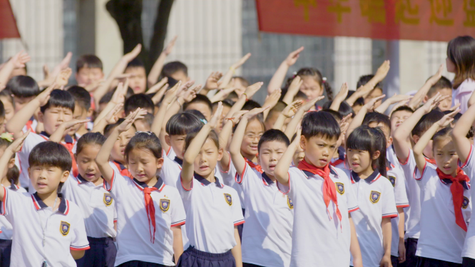 校园升国旗仪式行少先队员队礼