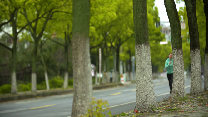 绿茵道晨跑