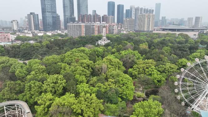 航拍长沙烈士公园
