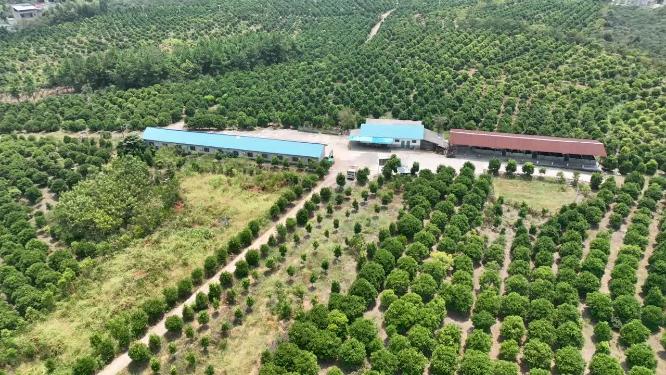 航拍新型种植基地