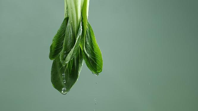 美食蔬菜豆芽油菜
