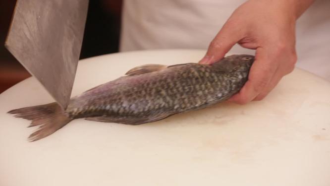 鲫鱼刮鱼鳞