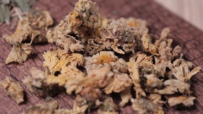 中医中药养生保健 白菊花