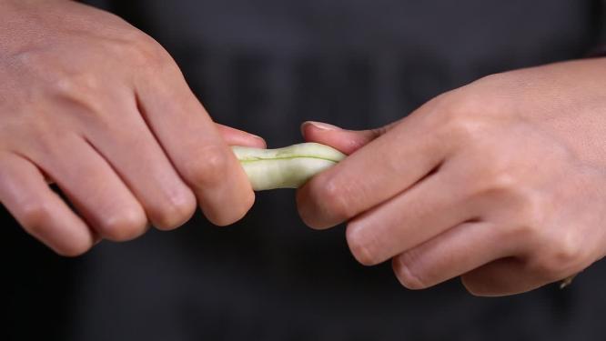 择菜挑选处理白不老豆角