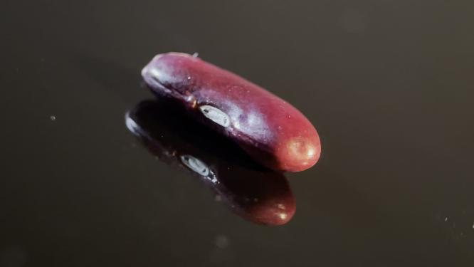 一颗五谷杂粮芸豆健康