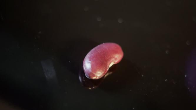 一颗五谷杂粮芸豆健康