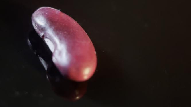一颗五谷杂粮芸豆健康