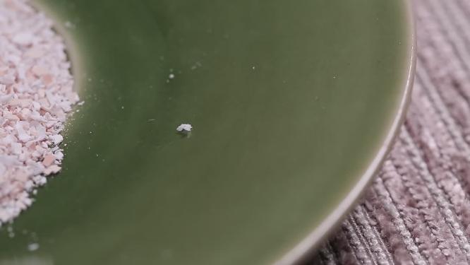 养鸡补钙蛋壳粉