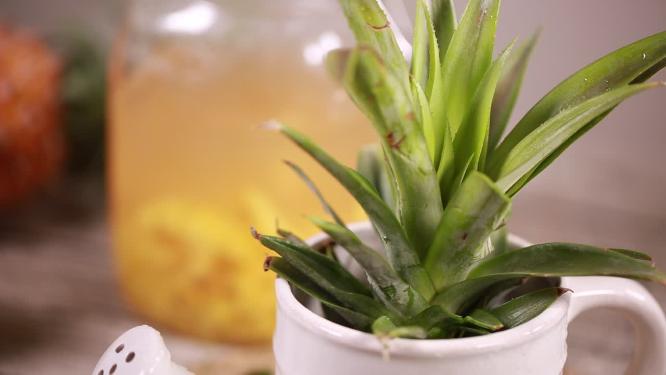 凤梨菠萝菠萝头加工品