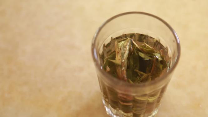 喝茶品茶瘦身健康茶茶饮