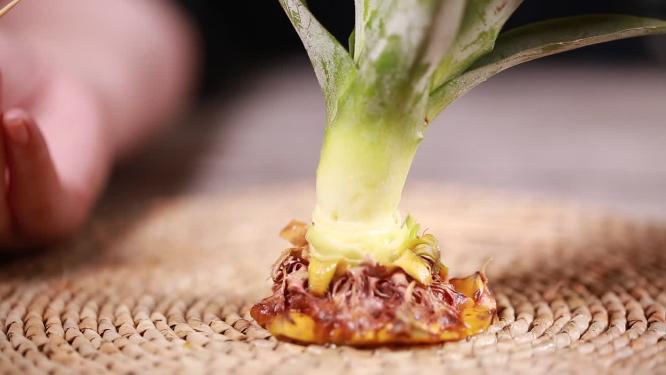 拆分水果凤梨菠萝叶子食材