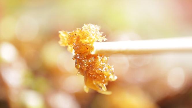 美食海蜇皮红烧海蜇