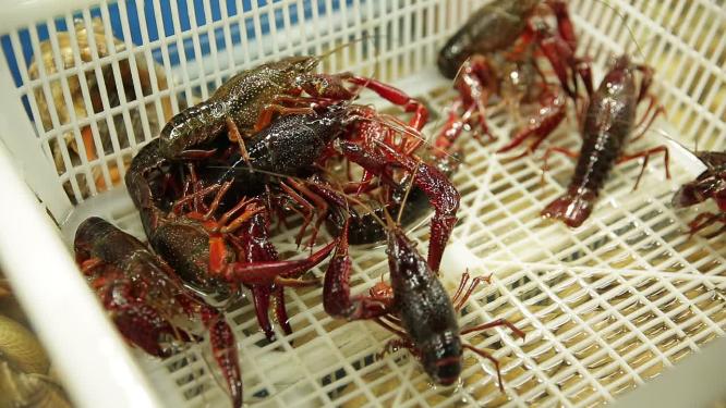 海鲜市场买小龙虾挑选小龙虾