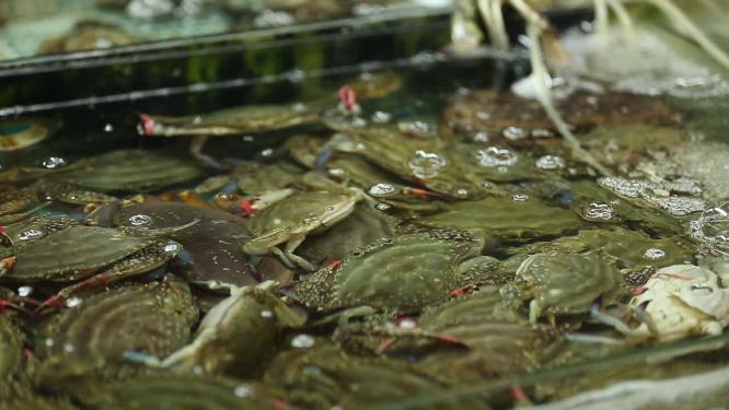 海鲜市场卖海产品飞蟹梭子蟹
