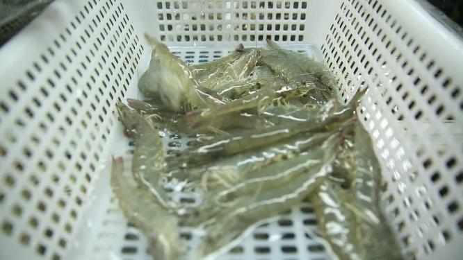 海鲜市场卖生鲜飞蟹梭子蟹