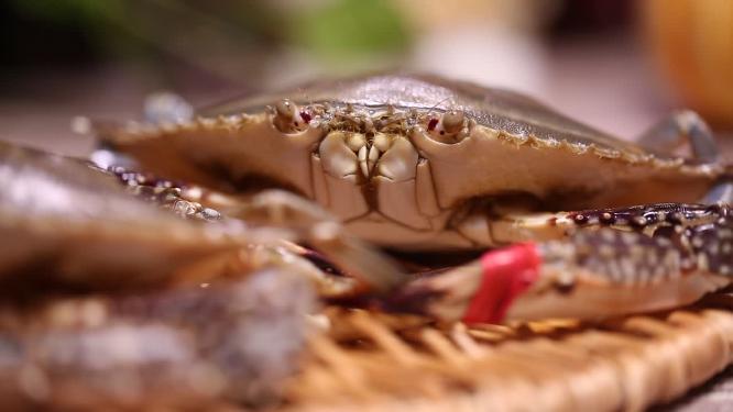 飞蟹海蟹螃蟹梭子蟹正面