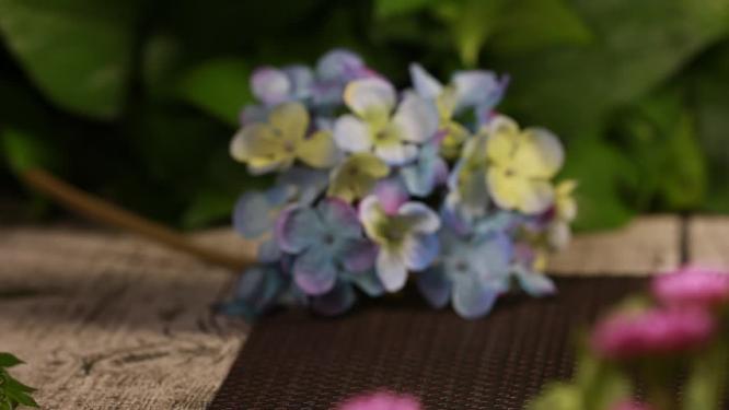 绿色高丽菜包菜圆白菜