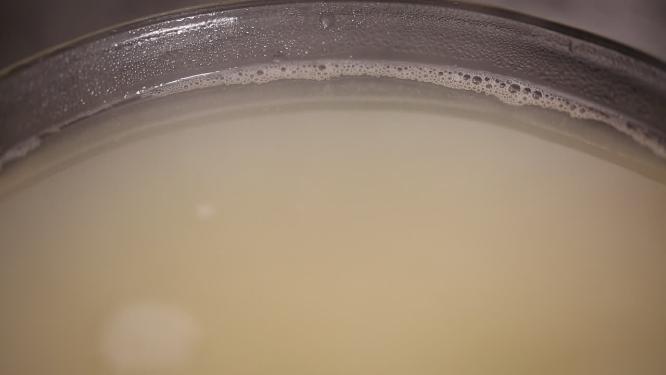 营养高汤浓汤鱼汤奶白膏汤