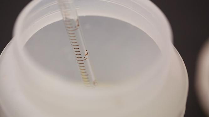 化学仪器检测生姜细菌试验