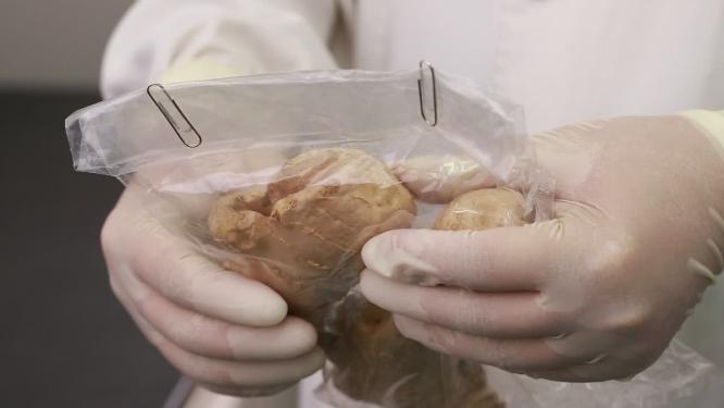 切片采样生姜食品安全检测
