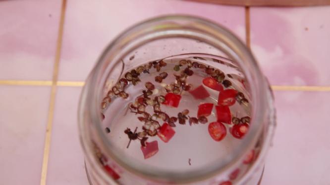 密封罐中泡菜腌制调料