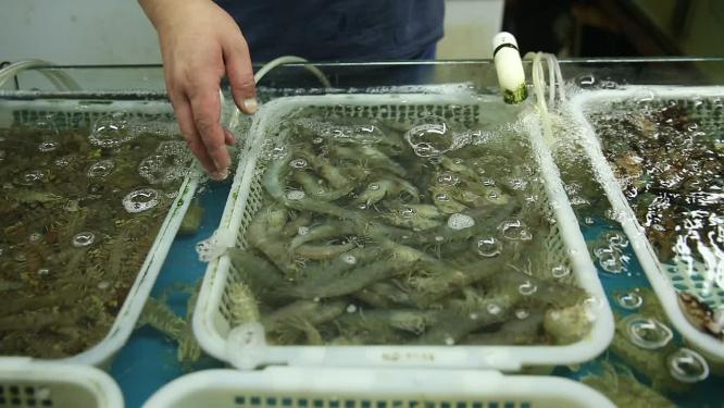 水产市场卖各种小海鲜