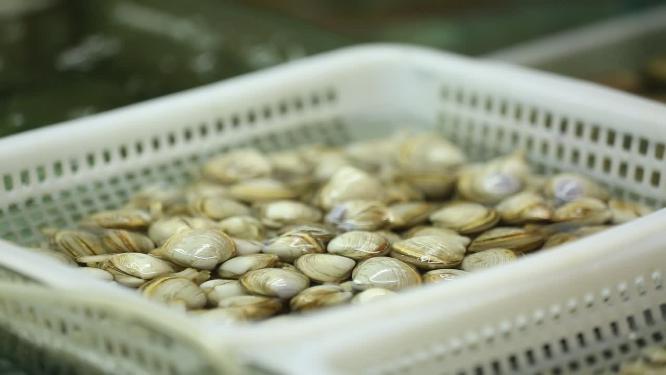 水产市场卖各种小海鲜