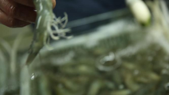 水产市场卖各种小海鲜
