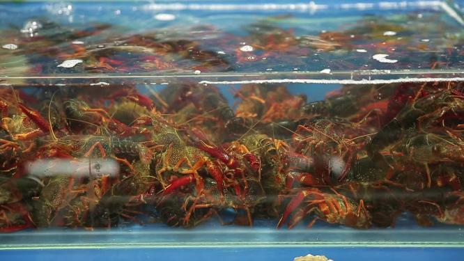 水产市场商贩卖小龙虾8