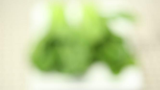 油菜 小青菜
