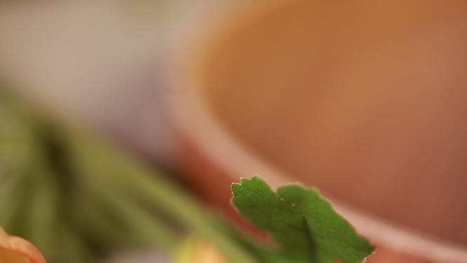 芹菜高纤维时蔬根部特写