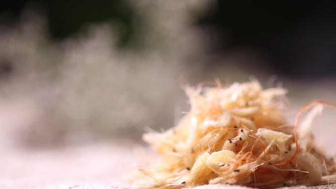 虾米虾皮补钙
