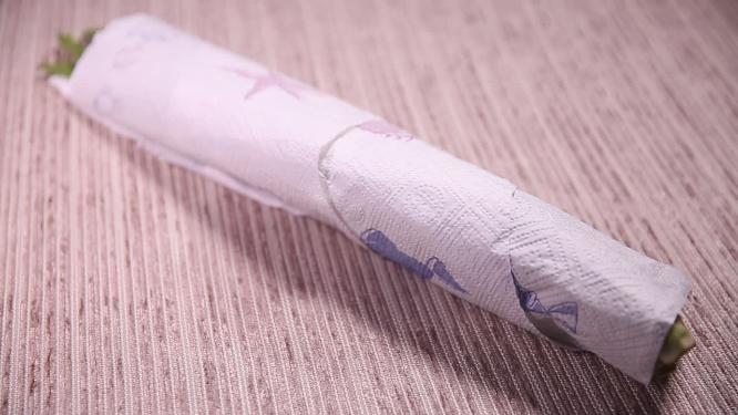 青菜鸡毛菜裹厨房纸放冰箱储存4