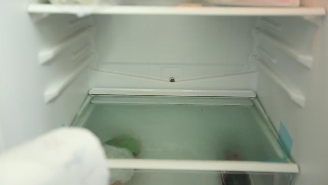 青菜鸡毛菜裹厨房纸放冰箱储存5