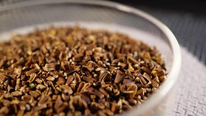 右特写 光杆茼蒿蒿子秆种子蔬菜种子农作物种菜蔬果种子