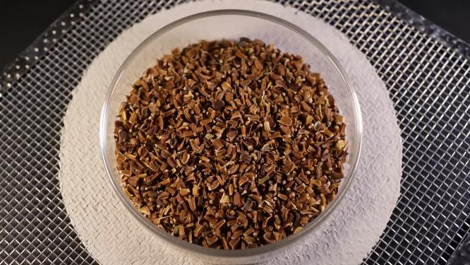 俯拍 光杆茼蒿蒿子秆种子蔬菜种子农作物种菜蔬果种子5
