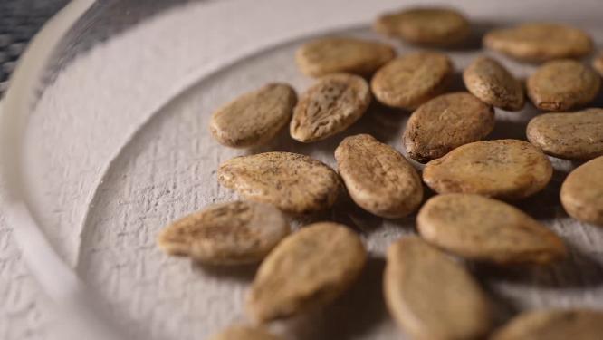 左侧拍 冰糖麒麟西瓜种子蔬菜种子农作物种菜蔬果种子