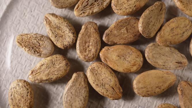 特写 冰糖麒麟西瓜种子蔬菜种子农作物种菜蔬果种子