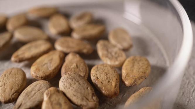 右特写 冰糖麒麟西瓜种子蔬菜种子农作物种菜蔬果种子6