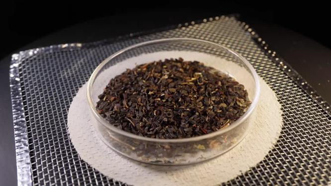 侧俯拍 奶油生菜罗马生菜种子蔬菜种子农作物种菜蔬果种子4