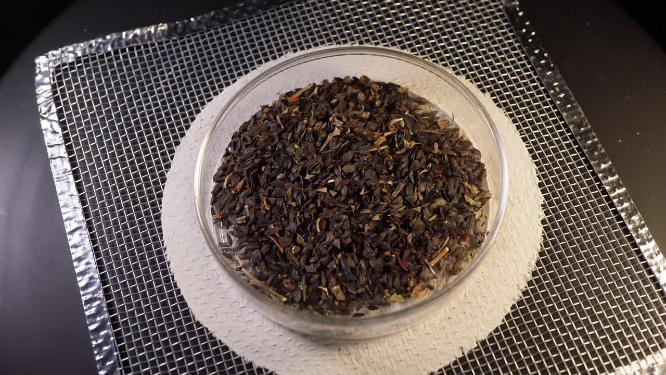 俯拍 奶油生菜罗马生菜种子蔬菜种子农作物种菜蔬果种子5