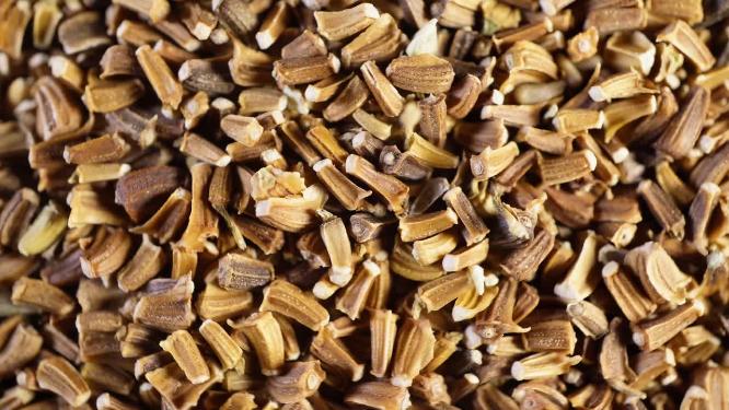 特写 小叶茼蒿蒿子秆种子蔬菜种子农作物种菜蔬果种子