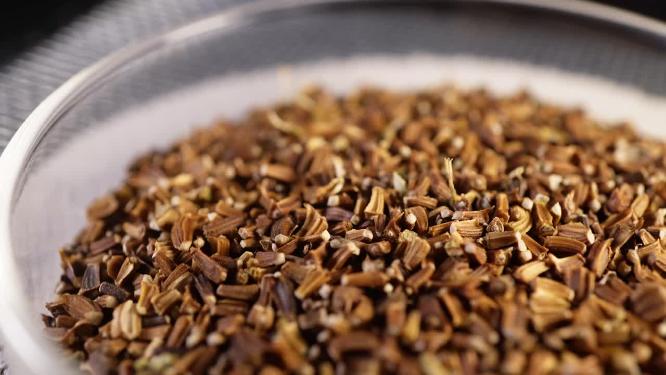 左特写 小叶茼蒿蒿子秆种子蔬菜种子农作物种菜蔬果种子3