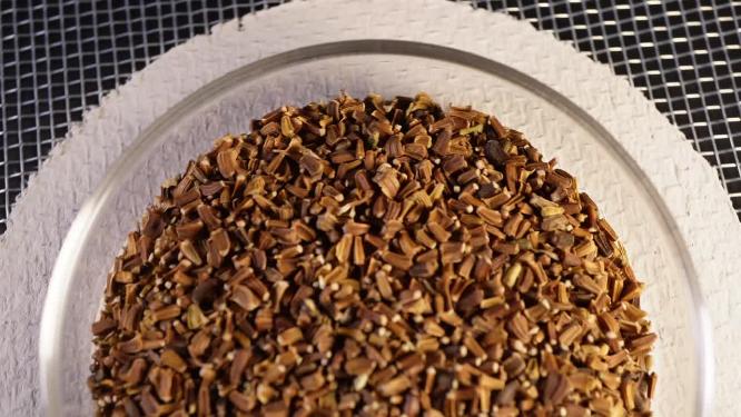 半画 小叶茼蒿蒿子秆种子蔬菜种子农作物种菜蔬果种子6